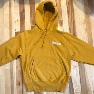 Urban Outfitters Oversized Champion Hoodie